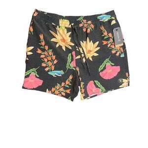 NWT Roark Shorey Sierra Madre Size L Retail $66